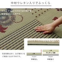 イケヒコ い草ラグ ラグ カーペット 2畳 正方形 『CX金魚』 幅1760×奥行1760mm ナチュラル 1071570012810 1枚（直送品）