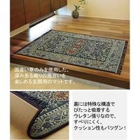 イケヒコ 玄関マット 室内 国産い草 『Fグラデーション』 幅600×奥行900mm ブルー 1080240014604 1枚（直送品）