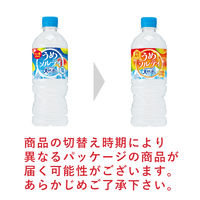 サントリー 天然水 うめソルティ 冷凍兼用 540ml 1セット（48本）
