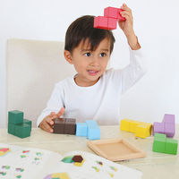 エド・インター 賢人パズル 知育玩具 1セット