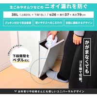 アスベル 分別ダストボックスパッキン付ペダル2段スリム38L 4974908680182 1個