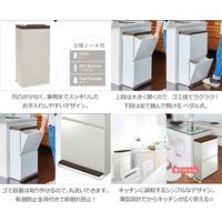 アスベル 分別ダストボックスペダル2段ワイド40L ホワイト 4974908680069 1個