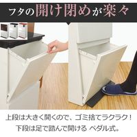 アスベル SP分別ダストボックス ペダル2段 ワイド レッド 4974908680229（直送品）
