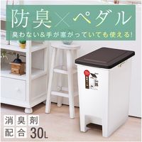 アスベル R防臭エバン・ペダルペール30L 4950672654130 1セット(2個)（直送品）