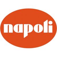 ナポリアイスクリーム ラナポリ 【送料無料】（直送品）