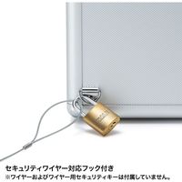 サンワサプライ ブルーレイディスク対応セキュリティーボックスケース（100枚収納） FCD-SL13S 1個（直送品）