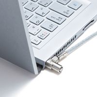 サンワサプライ 超小型シリンダセキュリティ SL-80 1個（直送品）