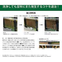 HORIE Corporation 【苔除去・抑制剤】コケクリーン 4kg ポリ容器入り HORIE-KC（直送品）