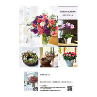 日比谷花壇 日比谷花壇カタログギフト「ライフスタイルブック・Kコース」（慶事用包装） HIBIYA-KR（直送品）