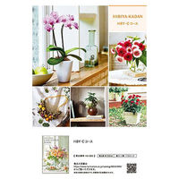 日比谷花壇 日比谷花壇カタログギフト「ライフスタイルブック・Cコース」（慶事用包装） HIBIYA-CR（直送品）