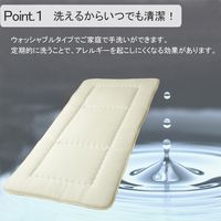 イケヒコ・コーポレーション FIヌード 敷き 100×210cm 6676419 1枚