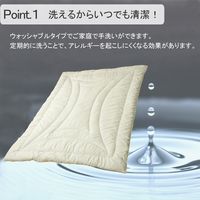 イケヒコ・コーポレーション FIヌード 掛け 170×210cm 1201550000000 1枚