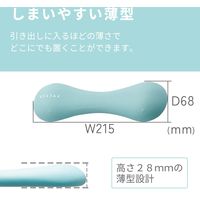ダンベル スリムタイプ 1.0ｋｇ 筋トレ 1個入り 持ちやすい ライトブルー エクリアスポーツ HCF-DBS10BUL エレコム 1個