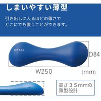 ダンベル スリムタイプ 2.0ｋｇ 筋トレ 1個入り 持ちやすい ブルー エクリアスポーツ HCF-DBS20BU エレコム 1個