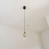 オーム電機 ペンダントソケットライト 真鍮TypeB HS-LPS04 1個