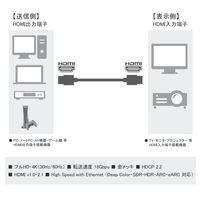Vodaview HDMIケーブル（コンパクト/フラットタイプ）30cm HDMI[オス]-HDMI[オス] VV-HDMI003AA-BF