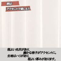 ユニベール ラージュレースホワイト W100xH203 4548654785912 1セット(レースカーテン2枚