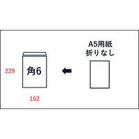 山櫻 ECカラー封筒 角6 ECブルーCoC 100 YAMA-7035-0054 1セット(1袋(100枚)×10)