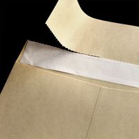 山櫻 クラフト貴重品袋 貴重品袋(大) クラフトCoC 70 グット YAMA-9021-0056 1セット(1袋(100枚)×10)