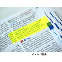 SICAD シカッド メモグラフ 19mm幅 グリーン GRMG19 1個