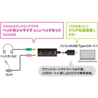 サンワサプライ USBオーディオ変換アダプタ(TypeC) MM-ADUSBTC1 1個