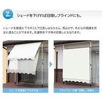 ファミリー・ライフ 日よけスクリーン＆ブラインドDX 200幅 ブラウン 0331430（直送品）