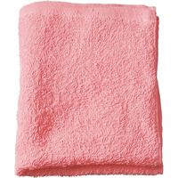 テラモト 業務用 タオル 10枚 CE480-010-9（直送品）