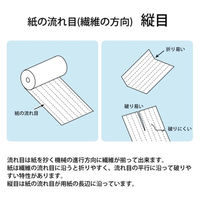 プラス コピーペーパー 中性紙 A4-T 500枚 CR-220（直送品）