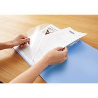 ビュートン フラットF PP ポケットA4S 10冊 FF-A4SP-B（直送品）