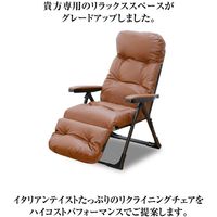 ファミリー・ライフ くつろぎのリクライニングアームチェアEX ヘーゼルブラウン 0368120 1脚（直送品）
