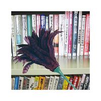 アズマ工業 フェザーダスター 60 AG714 1個 63-1441-15（直送品）