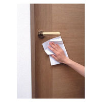 アズマ工業 フロア用ウェットシート 30枚入 SQA50 1パック(30枚) 63-1441-93