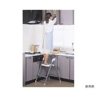 オークス ステップアップチェア シルバー X11 1個 62-9938-51（直送品）