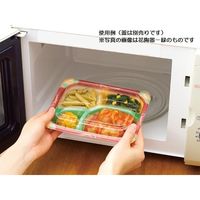 積水ヒノマル 弁当容器 HT 宅BEN-M20-15 内黒外黒 本体 765335 1包：600枚（50×12）（直送品）