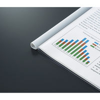 コクヨ　レールクリヤーホルダー(厚とじ・PET)　A4タテ　約40枚収容　白　レール式クリアホルダー　フ-WTP760W　1冊