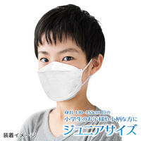 3D立体型やさしいマスク ジュニアサイズ ホワイト 5枚入 10袋セット DKW5-10-AS 1セット（10袋） エスパック（直送品）