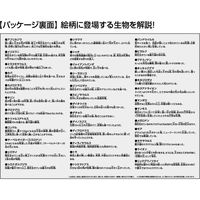 ビバリー 巨大生物くらべてみよう! 80ピース 80-028 1個（直送品）