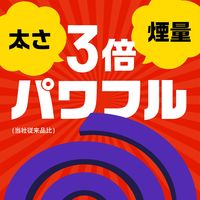 アース 極太 虫よけ線香 プロ仕様 煙量3倍 30巻箱入 線香立て付き 1個 アース製薬 蚊取り線香 蚊 アブ ブユ