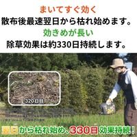 住友化学園芸 草退治メガロングシャワーGT 除草剤 4.8L 1個 約11カ月効果持続