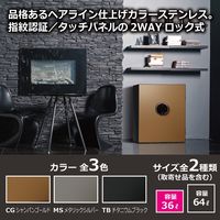 【設置込】ディプロマット ビヨンド プレミアム耐火金庫 60分耐火 36L チタニウムブラック BY500TB 1台（直送品）