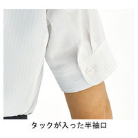 ボンマックス 半袖ブラウス　RB4559-9　ピンク　17号 4544316646201 1枚（直送品）