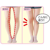 セルヴァン スポーティフラテ 1足組 4985697216315 1組（直送品）