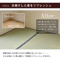 イケヒコ い草上敷 撥水ほほえみ 本間10畳 4770×3820mm 1010180015902 1枚（直送品）