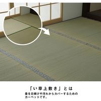 イケヒコ コバガード上敷 江戸間8畳 3520×3520mm 1020170012802 1枚（直送品）