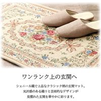 イケヒコ エリーゼ 玄関マット 700×1200mm ブラウン 1311471066401 1枚（直送品）