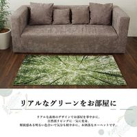 イケヒコ ガイア ラグ 800×1400mm 1320480010101 1枚（直送品）