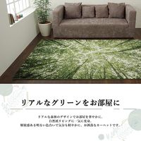 イケヒコ ガイア ラグ 1600×2300mm 1320480010401 1枚（直送品）