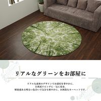 イケヒコ ガイア ラグ 1600×mm 1320480010301 1枚（直送品）