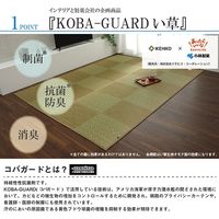 イケヒコ ラウム い草ラグ 江戸間2畳 1740×1740mm グリーン 1080490120202 1枚（直送品）