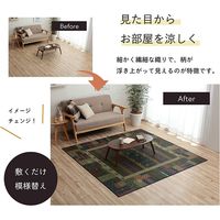 イケヒコ NSトロイ い草カーペット 1910×2500mm ブラウン 1060810064304 1枚（直送品）